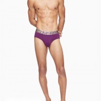 Мужское Нижнее белье (Icon Micro Brief) 61948-02 Cheshire Пурпурный