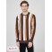 Чоловічий Светр (Matt Striped Sweater) 63814-01 Коричневий Topaz Мульті